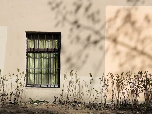 Fal, ablak, napsütéses tavaszi napon — Stock Fotó