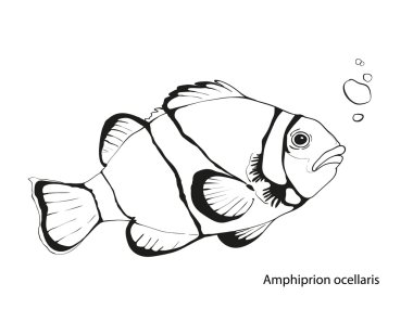 Elle çizilmiş tropikal balık