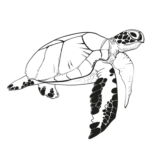 Tortue marine dessinée à la main — Image vectorielle