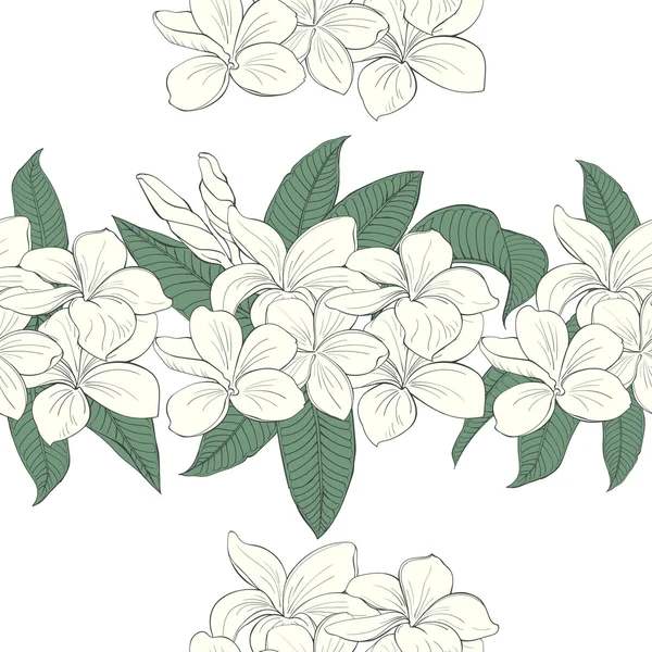 Patrón sin costuras con ramo de flores de plumeria sobre fondo blanco — Vector de stock