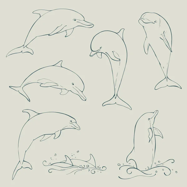 Ensemble de dauphins collection — Image vectorielle