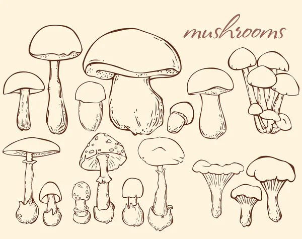 Hand drawn mushrooms sketch set — Stock Vector