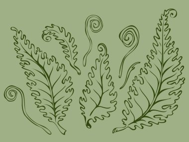 tasarım öğeleri kümesi içinde resimli eğreltiotu yaprakları