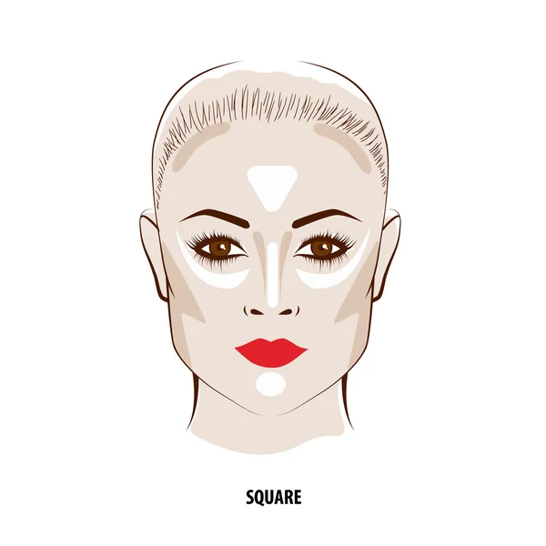 Contour en hoogtepunt make-up. — Stockvector