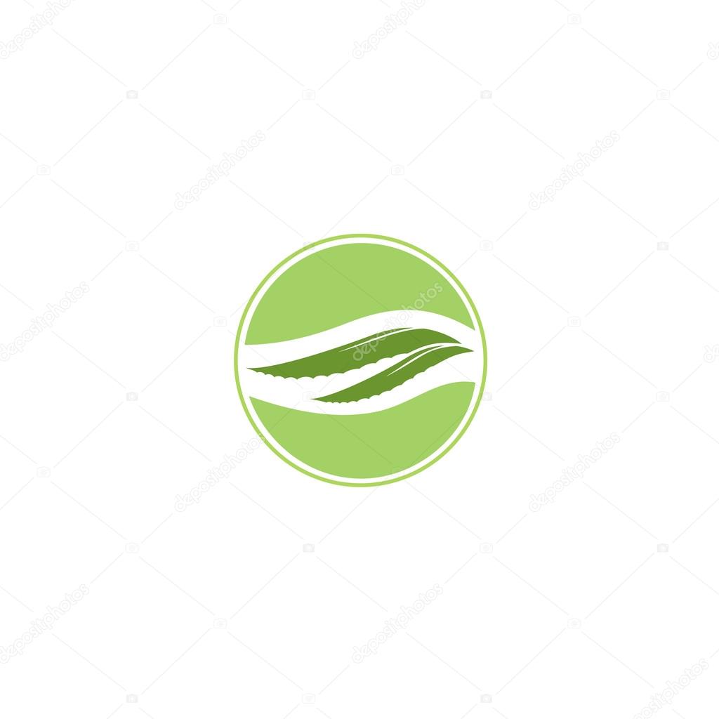 Aloe vera and drop vector illustration, template logo