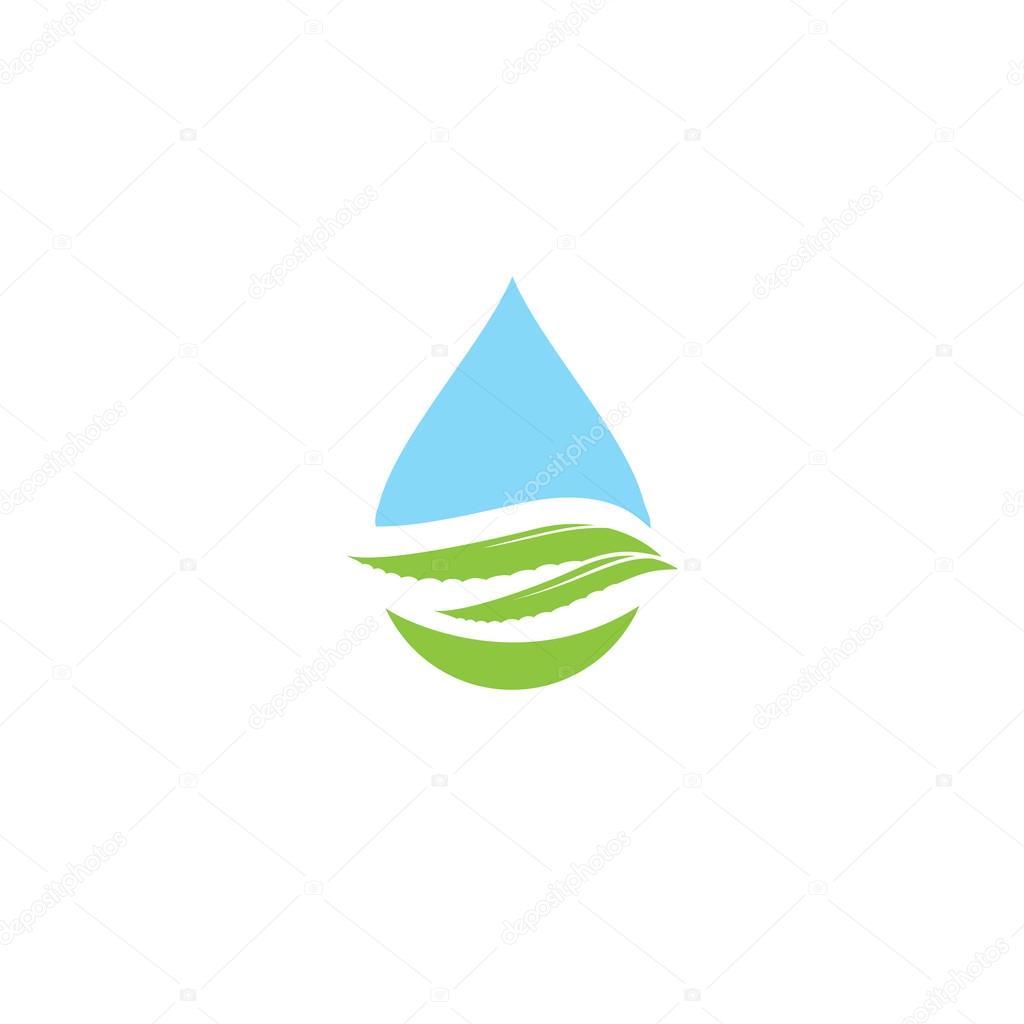 Aloe vera and drop vector illustration, template logo