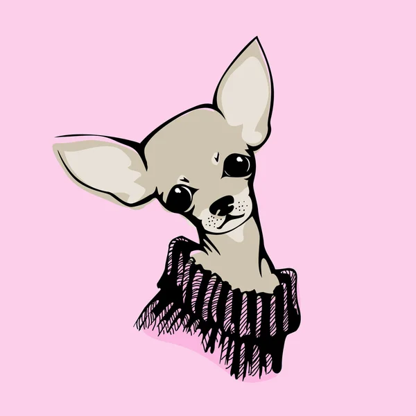 Chihuahua perro - ilustración vectorial — Vector de stock