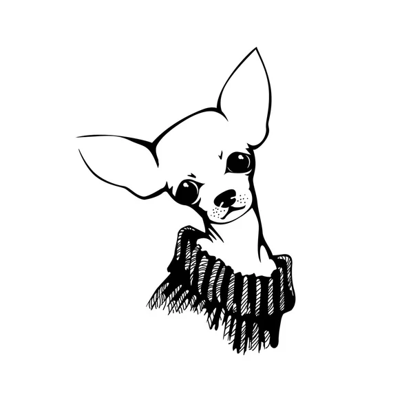 Chihuahua perro - ilustración vectorial — Vector de stock