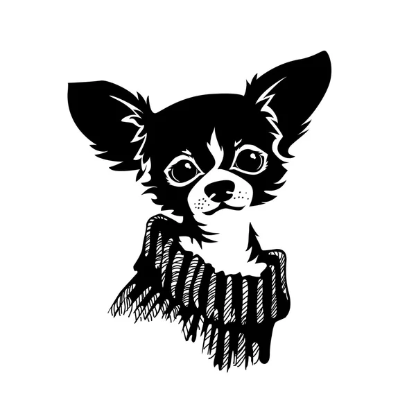 Chihuahua cane - illustrazione vettoriale — Vettoriale Stock