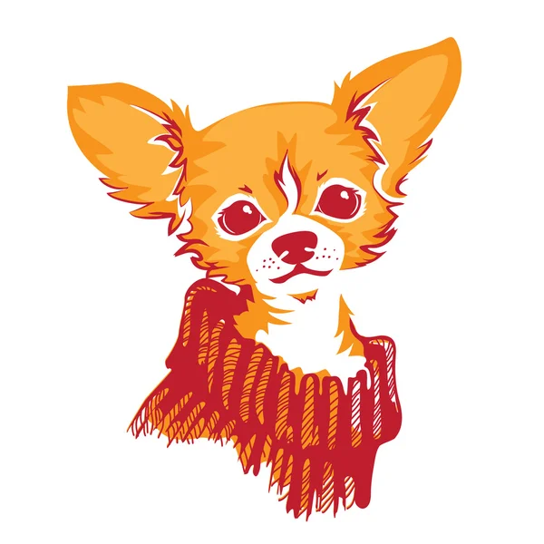 Chihuahua hond - vector illustratie — Stockvector