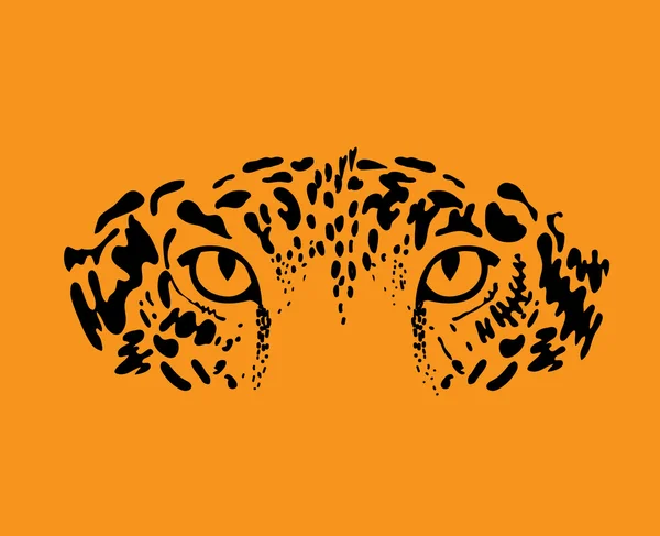 Leopard, Jaguar — Stockvektor