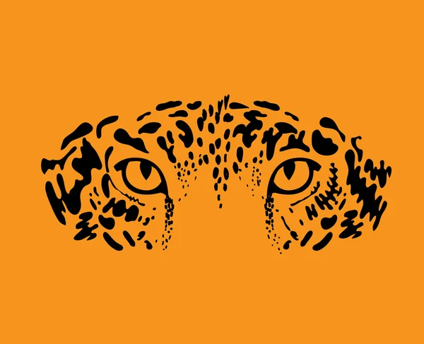 Leopard, jaguar
