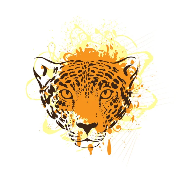 Leopardo, jaguar — Archivo Imágenes Vectoriales