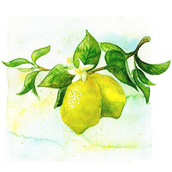 Arte de cocina. Acuarela dibujada a mano ilustración de limón — Foto de Stock