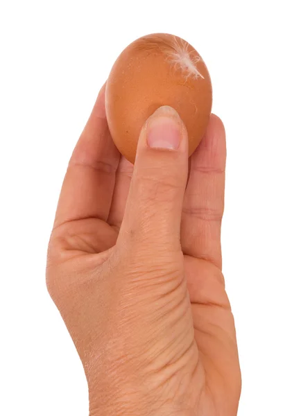 Huevo de gallina fresco de granja con pluma - aislado sobre blanco —  Fotos de Stock