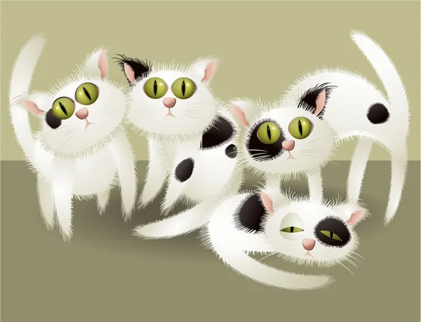 Білий милі кішки — стоковий вектор