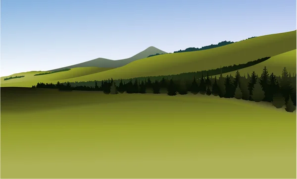 Berglandschaft mit grünen Hügeln — Stockvektor