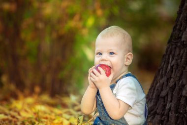 mylysh,apple ,autumn
