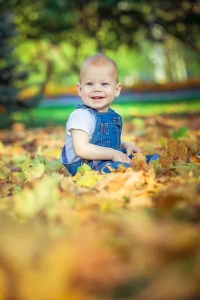 mylysh,apple ,autumn