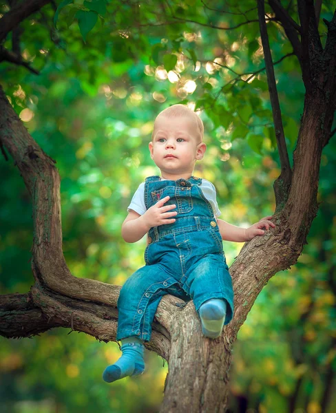 mylysh,apple ,autumn