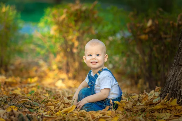 mylysh,apple ,autumn