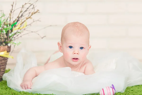 blue, one , people , happiness , white , background , young, pretty , beautiful , nice, portrait, person , studio , cute, sweet , beauty , hat , man , child, soft , toy , small , innocence , kid , childhood , lying down , sleeping, baby, nest , a fi