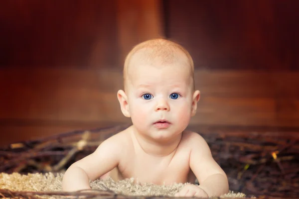blue, one , people , happiness , white , background , young, pretty , beautiful , nice, portrait, person , studio , cute, sweet , beauty , hat , man , child, soft , toy , small , innocence , kid , childhood , lying down , sleeping, baby, nest , a fi
