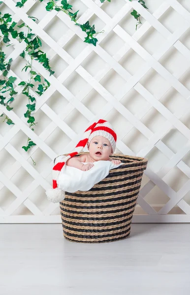 blue, one , people , happiness , white , background , young, pretty , beautiful , nice, portrait, person , studio , cute, sweet , beauty , hat , man , child, soft , toy , small , innocence , kid , childhood , lying down , sleeping, baby, nest , a fi