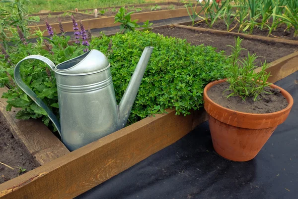 Primer plano de la cama de jardín — Foto de Stock