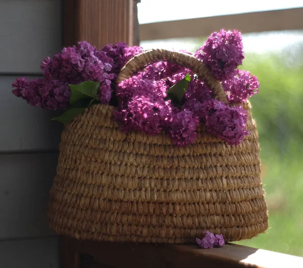 Lilac Bouquet Wicker Basket Sunlight Φωτογραφία Αρχείου