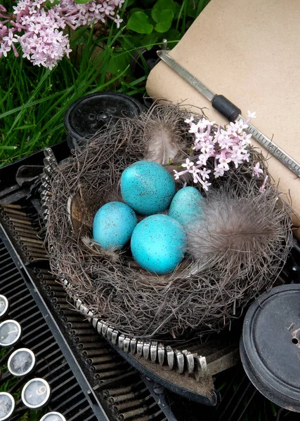 Vogelblauwe Eieren Het Nest Het Nest Ligt Een Typemachine Tegen Stockfoto