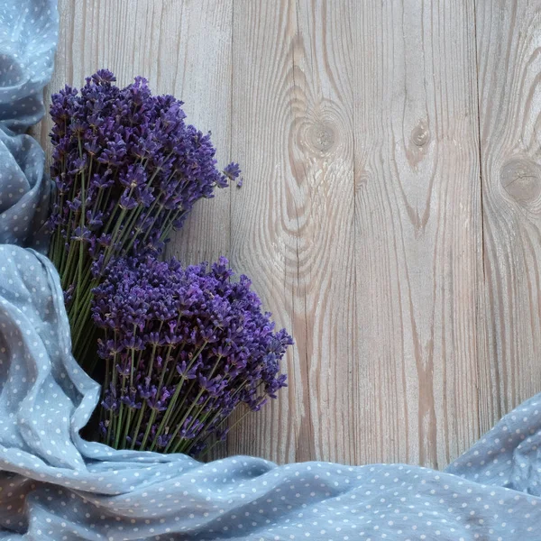 Färsk Lavendel Vit Träbakgrund Med Blå Halsduk Flatley Ordförande Stockbild