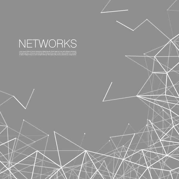 Netzwerke, Verbindungskonzept - schwarz-weißes Netzwerkgewebe — Stockvektor