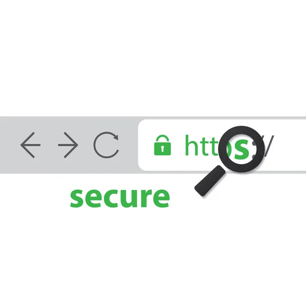 Browser Address Bar Showing Https Protocol - Secure Browsing and Connections Trend — Stock Vector