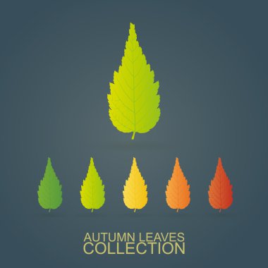 Yaprakları - sonbahar geliyor