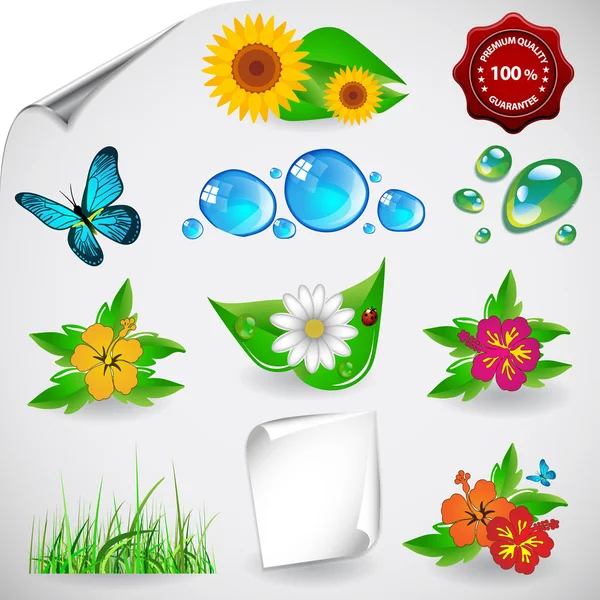 Conjunto de natural, ícones florais Clipart —  Vetores de Stock