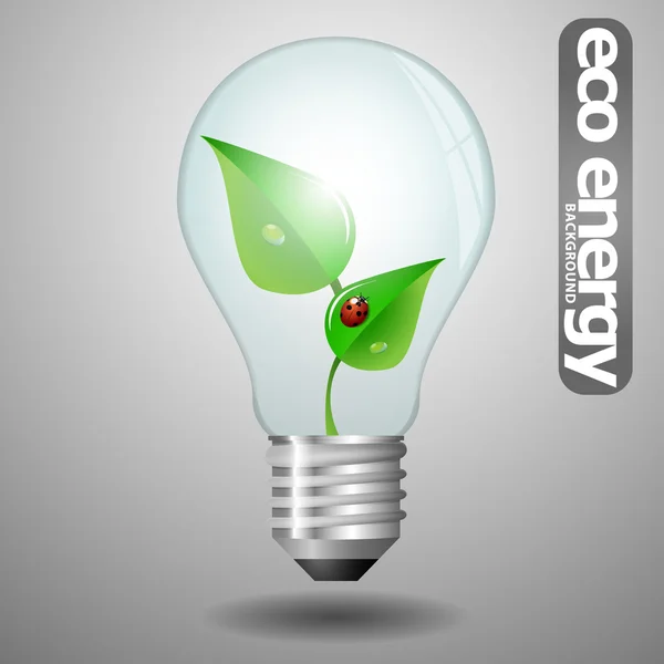 Concepto de bombilla ecológica con hojas verdes y mariquita — Vector de stock