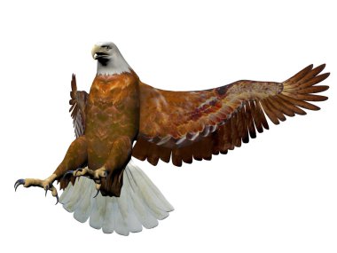 -3d render açılış kartal