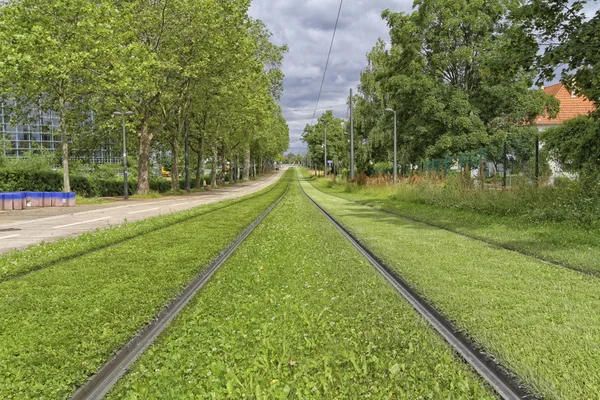 Strasbourg spårvagn järnväg i Frankrike — Stockfoto