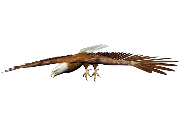 Eagle landing - 3d render — Stockfoto