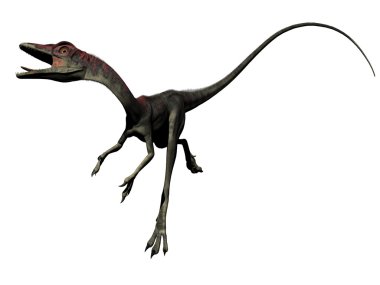 compsognathus dinozor - 3d render