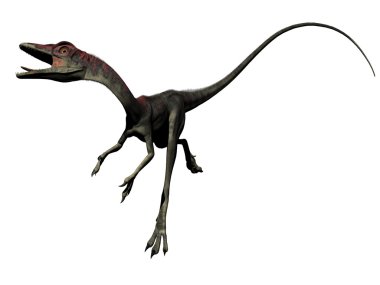 compsognathus dinosaur - 3d render clipart