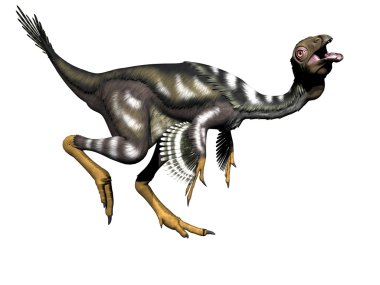 Caudipteryx dinozor - 3d render