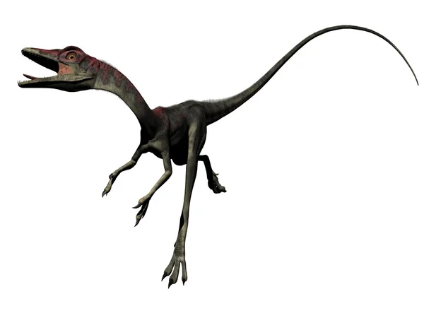 Dinossauro Compsognathus renderização 3D — Fotografia de Stock