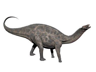 Dicraeosaurus dinozoru - 3D görüntüleme