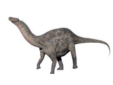 Dicraeosaurus dinozoru - 3D görüntüleme