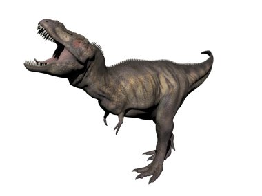 Tyrannosaurus dinozor - 3d render