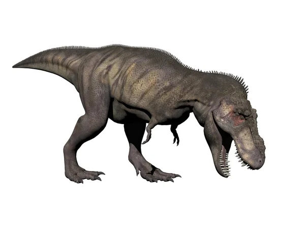 Tyrannosaurus dinosaurie - 3d gör — Stockfoto