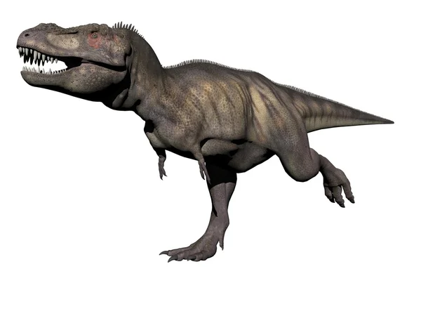 Tyrannosaurus dinozor - 3d render — Stok fotoğraf