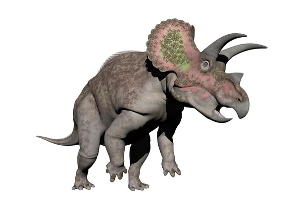 Triceratops dinozor - 3d render — Stok fotoğraf